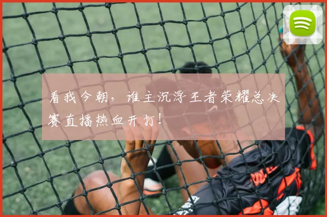 看我今朝,谁主沉浮王者荣耀总决赛直播热血开打!
