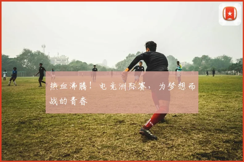 热血沸腾！电竞洲际赛，为梦想而战的青春