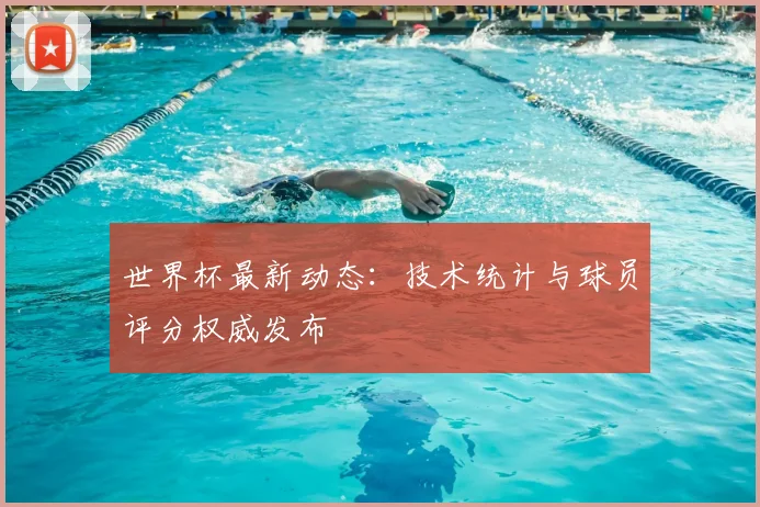 世界杯最新动态：技术统计与球员评分权威发布