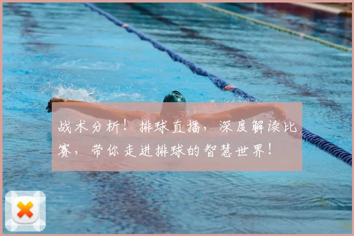 战术分析！排球直播，深度解读比赛，带你走进排球的智慧世界！