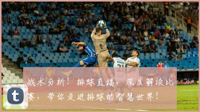 战术分析！排球直播，深度解读比赛，带你走进排球的智慧世界！